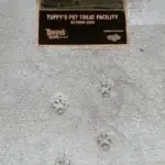 Tuffy Pet Treats Exterior Paw Prints