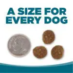 UNE TAILLE POUR CHAQUE CHIEN