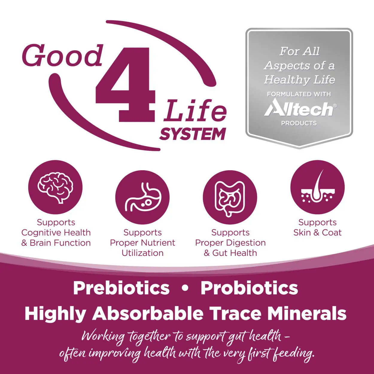 NS_Cat_Chicken&Rice-01 Good4Life SYSTEM