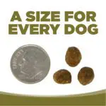 A SIZE FOR EVERY DOG