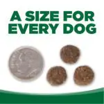 A SIZE FOR EVERY DOG