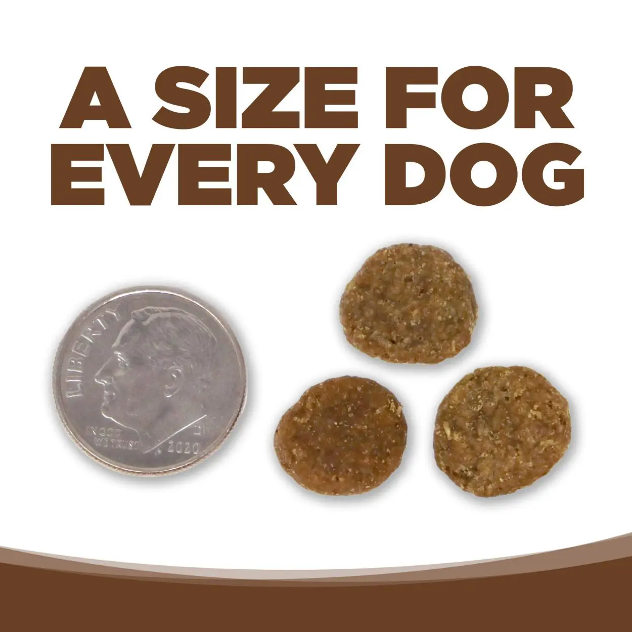 A SIZE FOR EVERY DOG