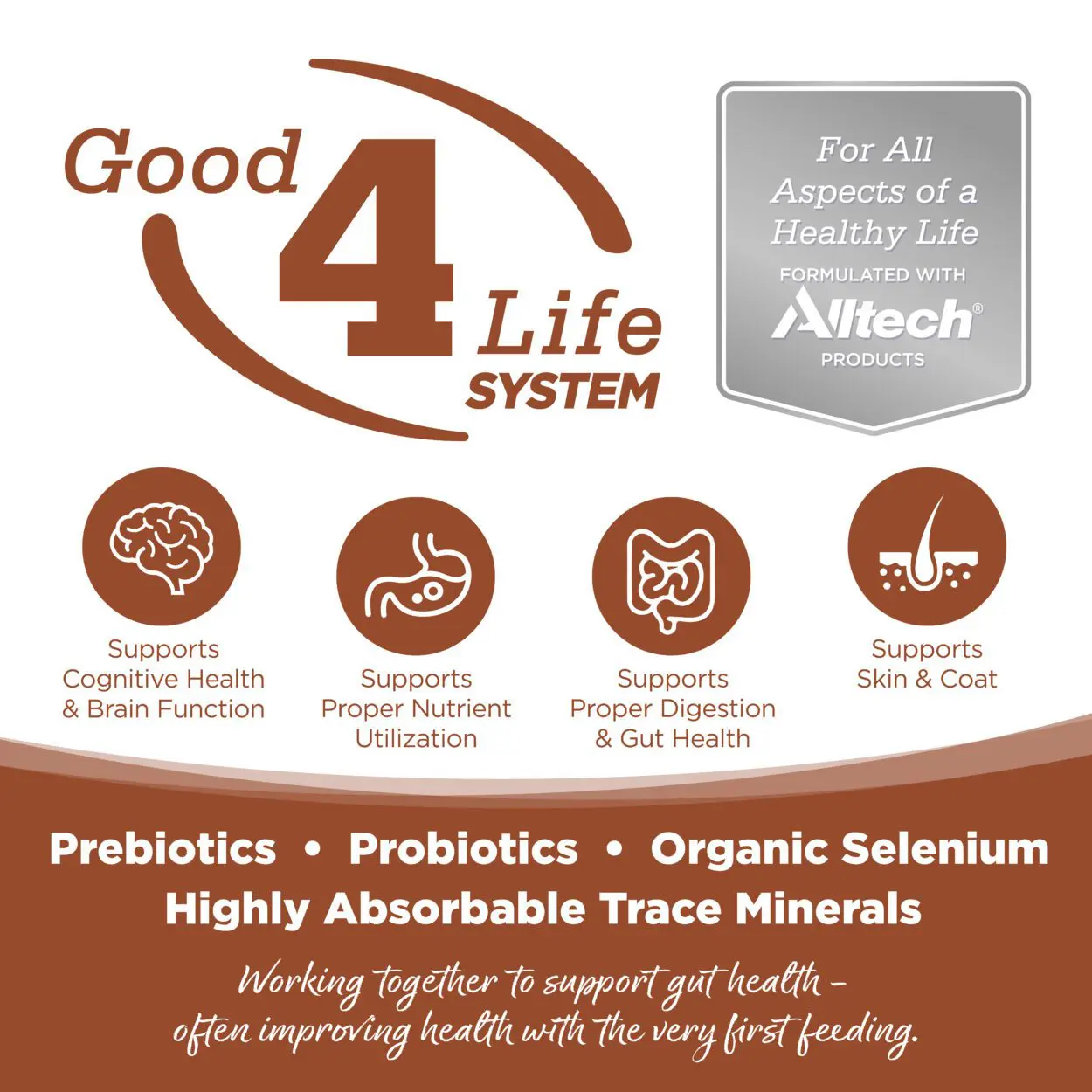 Good4Life SYSTEM