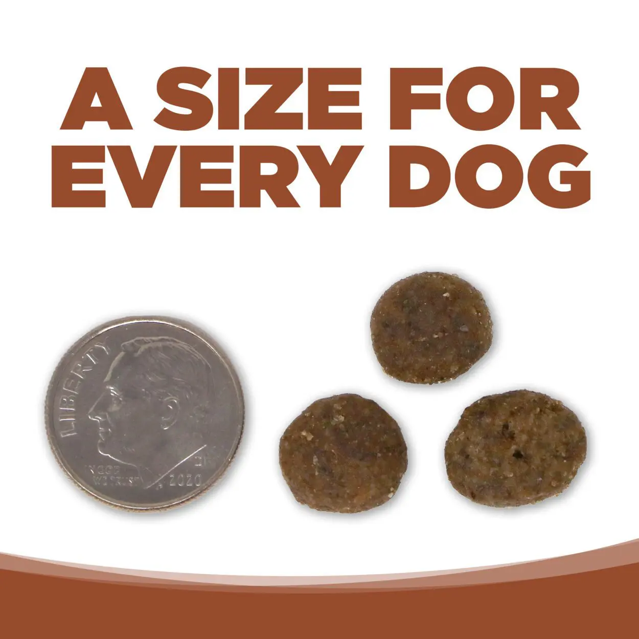 A SIZE FOR EVERY DOG