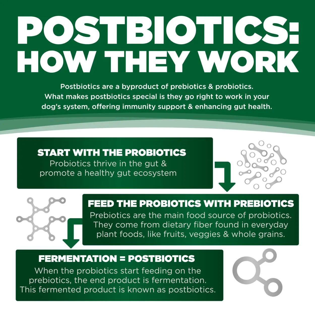 POSTBIOTCS: HOW THEY WORK