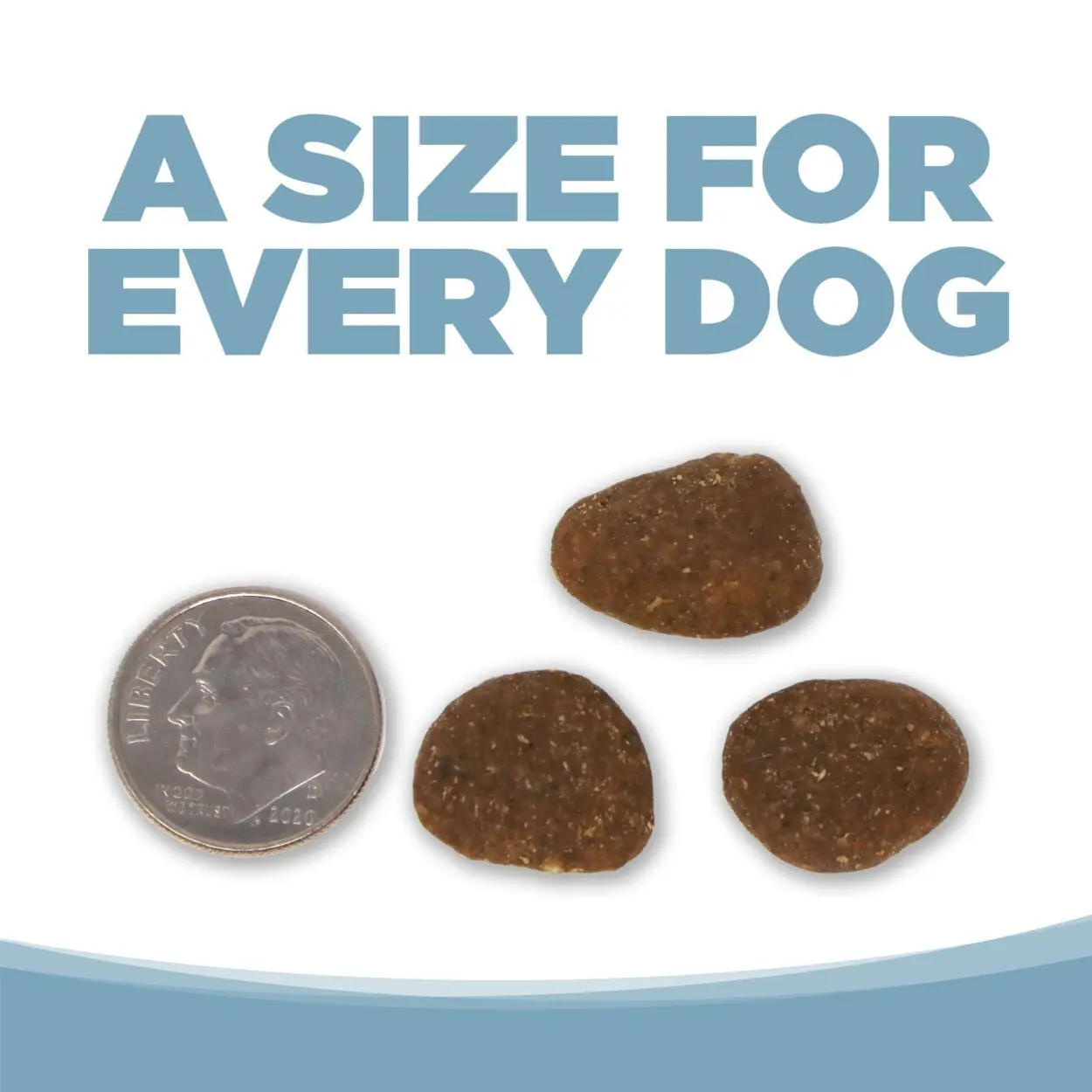 UNE TAILLE POUR CHAQUE CHIEN