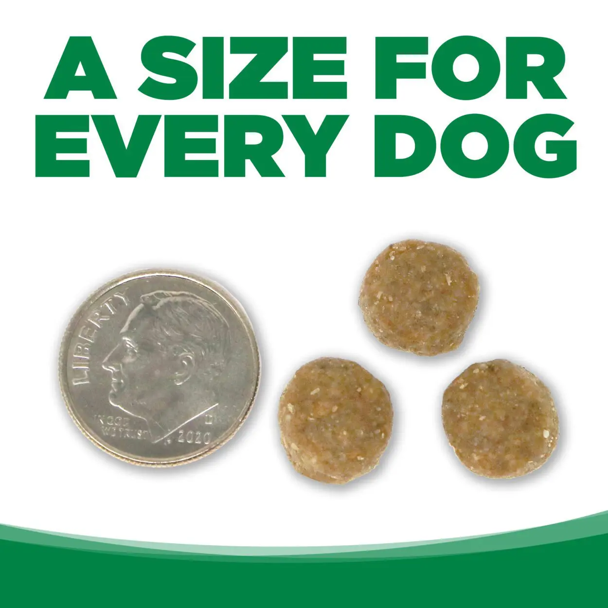 UN TAMAÑO PARA CADA PERRO