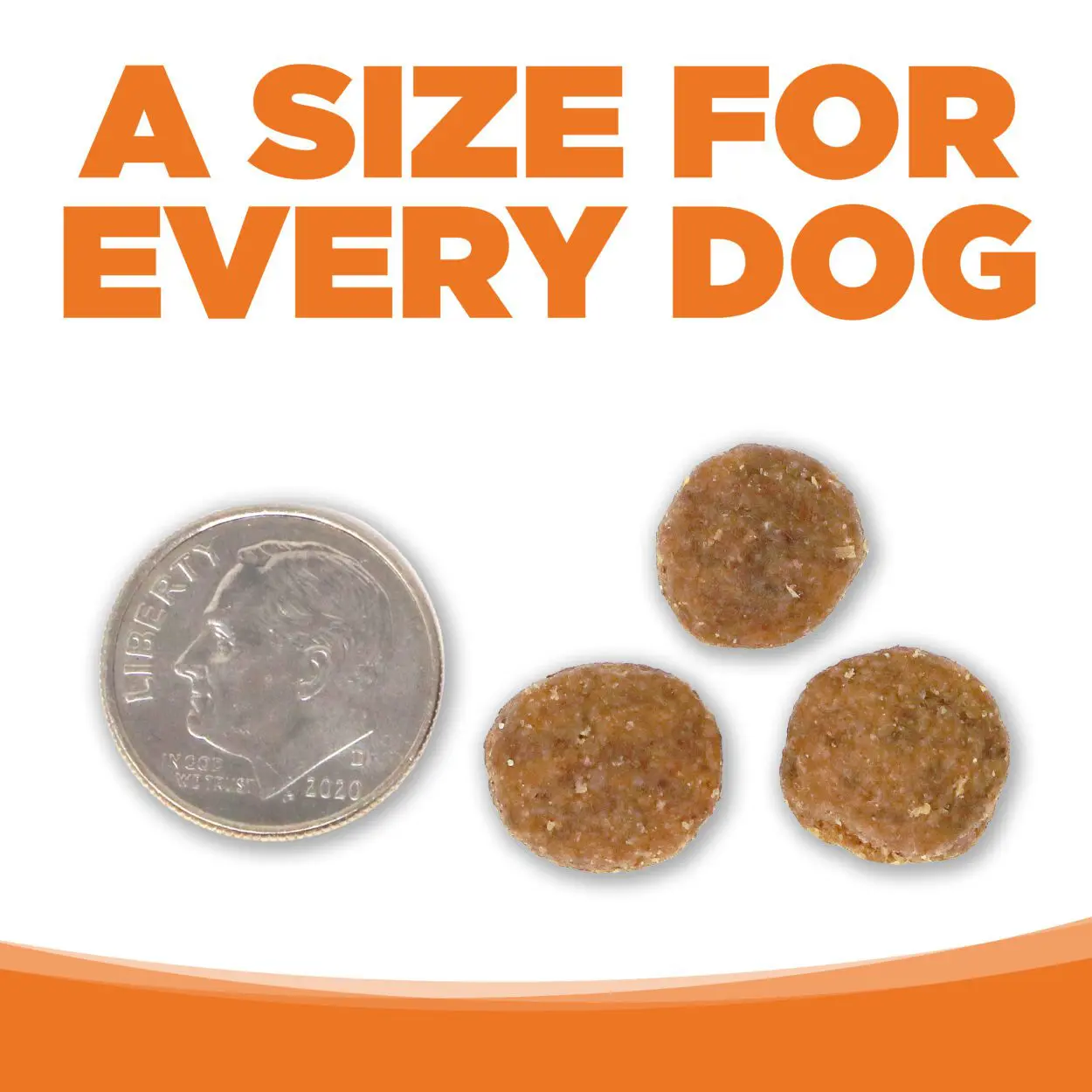 A SIZE FOR EVERY DOG