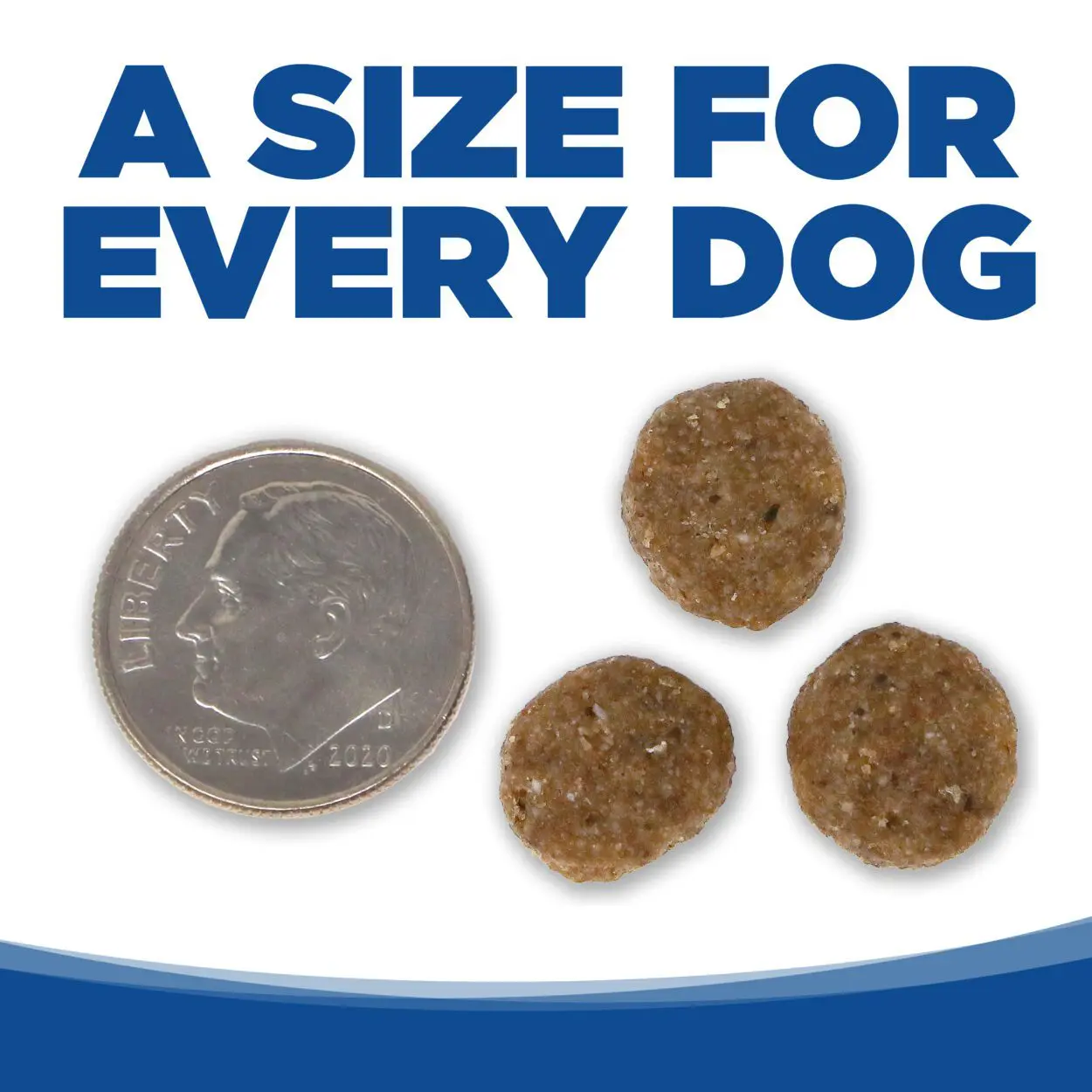 UN TAMAÑO PARA CADA PERRO