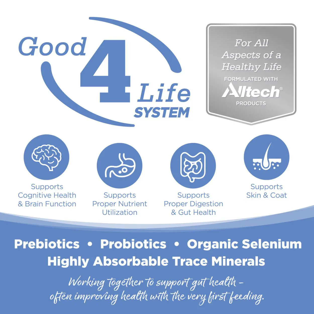 Good4Life SYSTEM