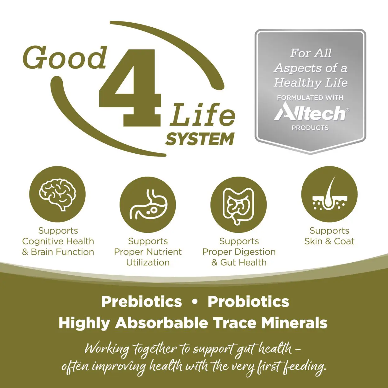 Good4Life SYSTEM