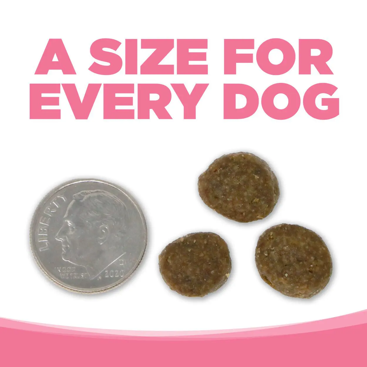 UN TAMAÑO PARA CADA PERRO