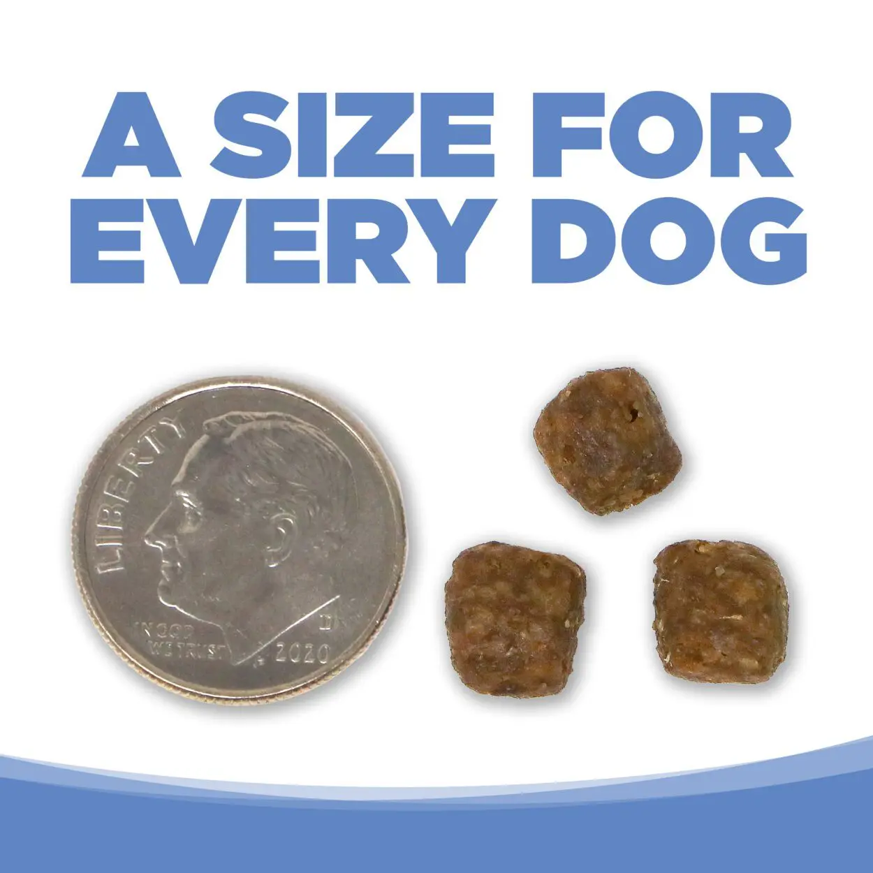 A SIZE FOR EVERY DOG