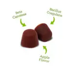 Beta Carotene, Bacillus Coagulans, and Apple Flavor