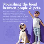 AmpliFull_MobilitySoftChew_Ecomm_Nourishing the bond Nourishing the bond between people & pets.