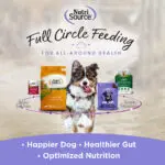 FCF_AllAroundHealth