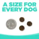 NS_Choice_Performance-04 A SIZE FOR EVERY DOG