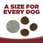 UN TAMAÑO PARA CADA PERRO