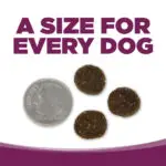 UNE TAILLE POUR CHAQUE CHIEN