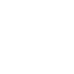 cat icon