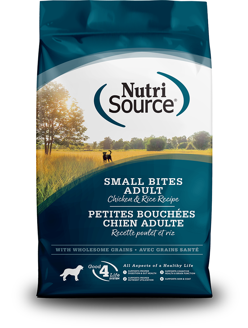 Adult Small Bites Recipe