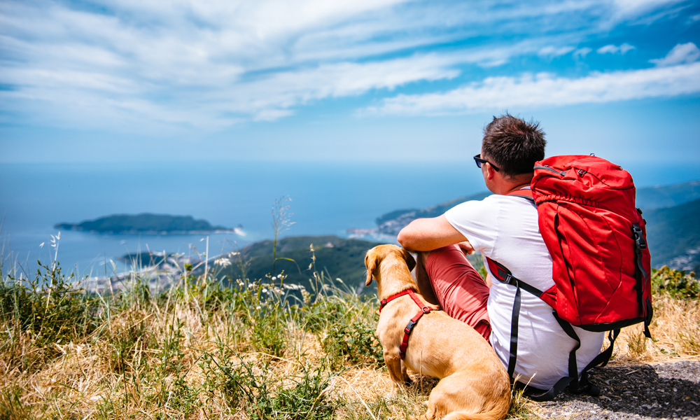 Happy trails, happy tails: Tips for safe hiking with your dog