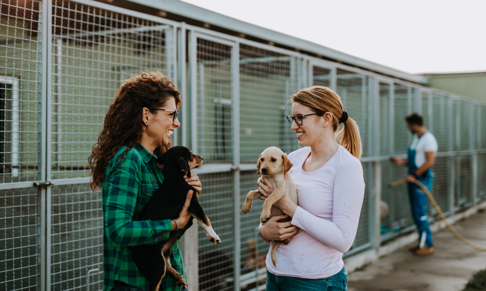 photo of two women holding puppies and smiling at each other at shelter