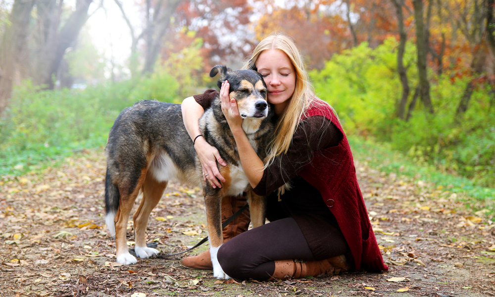 Ever consider adopting a senior dog? Here’s why it’s a great idea