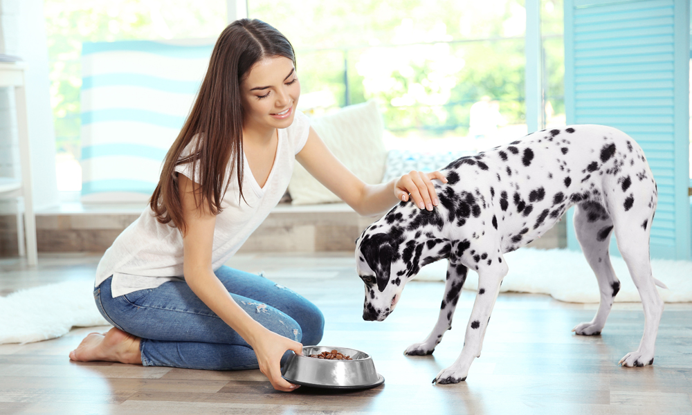 How Good 4 Life makes rotational feeding easier on your dog’s system