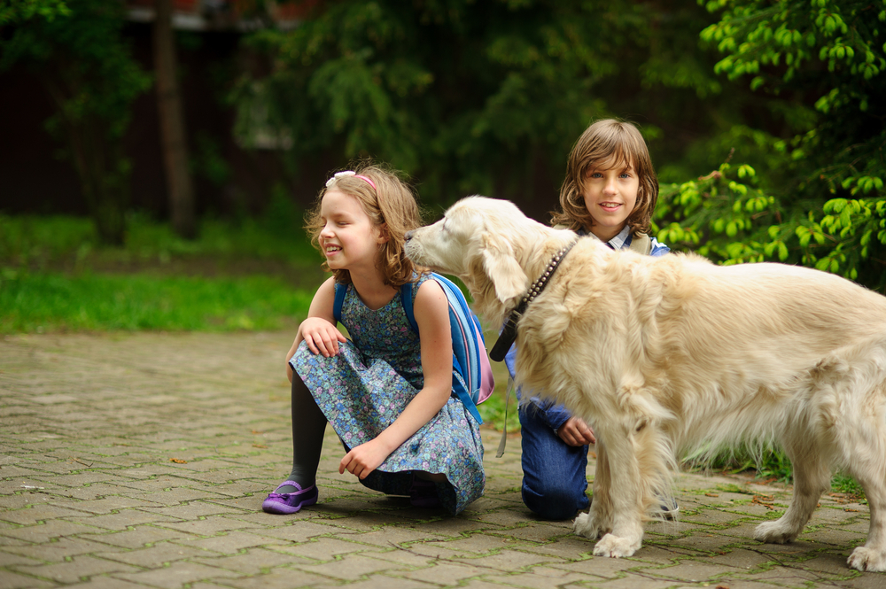 Preventing Children From Getting Bitten By Dogs. (Blog # 95)