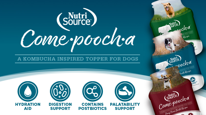 NutriSource Come·pooch·a, A Kombucha Inspired Topper for Dogs