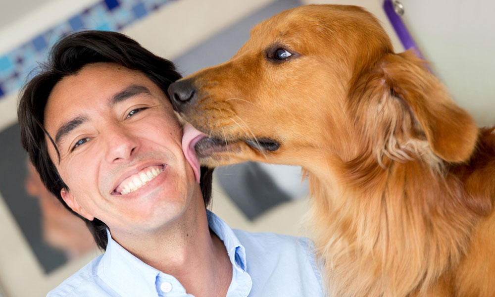 Why do dogs give kisses? Should you let them?