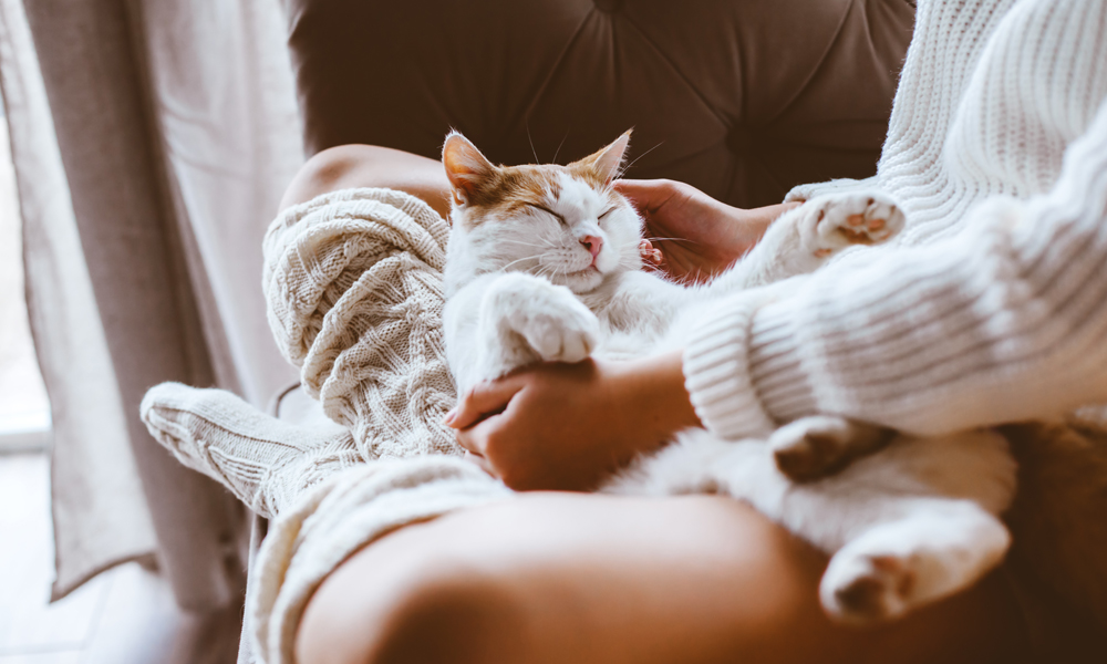 Is your cat happy living with you?