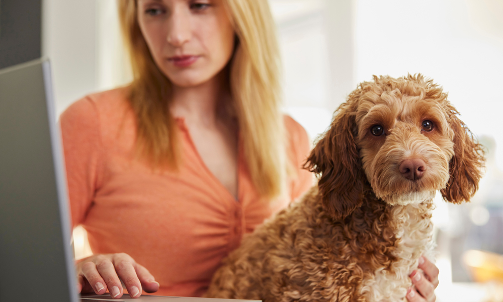 What pet parents should know about their dog’s anal glands