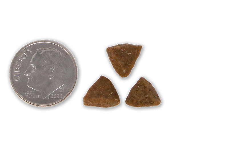 photo of dime beside three pieces of kibble