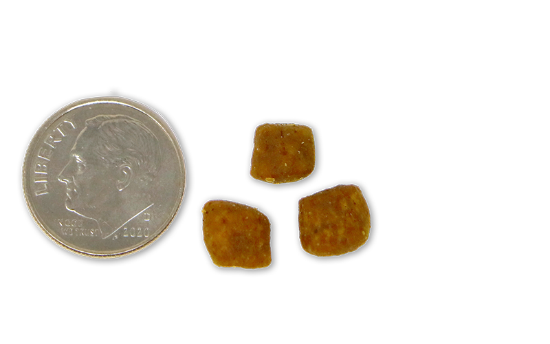 photo of dime beside three pieces of kibble