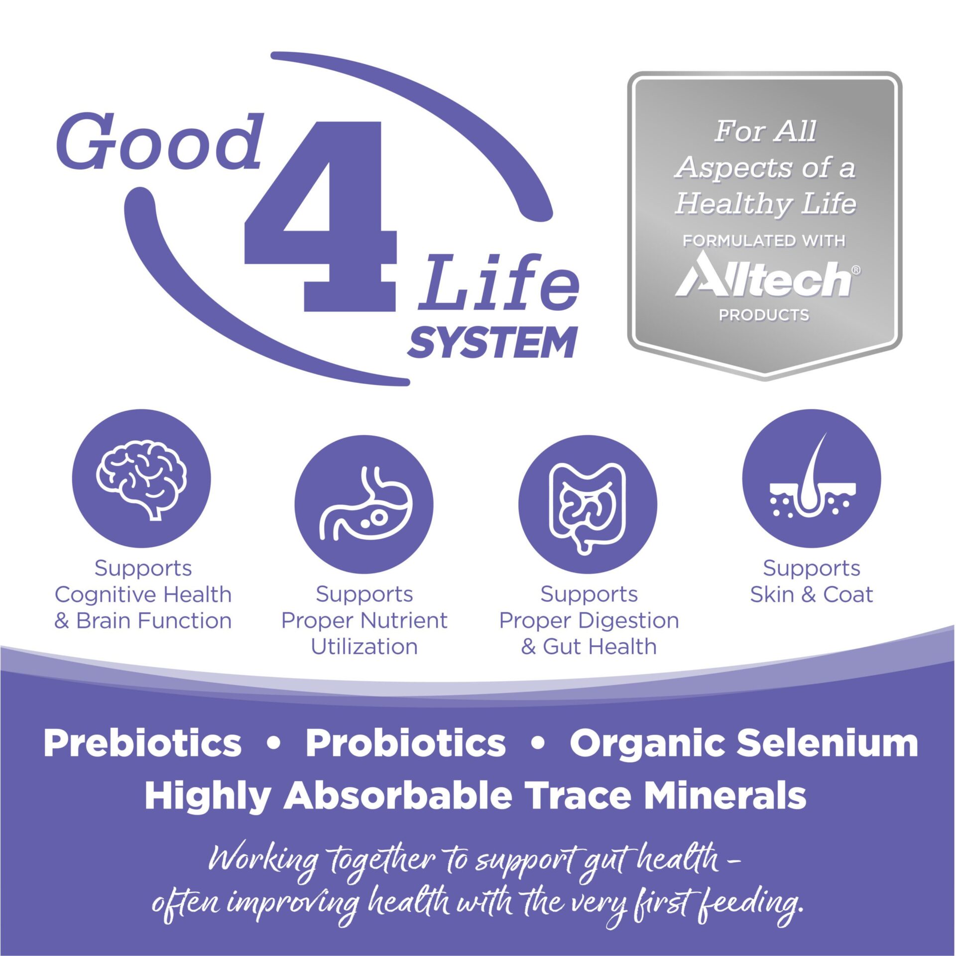 Good 4 Life System