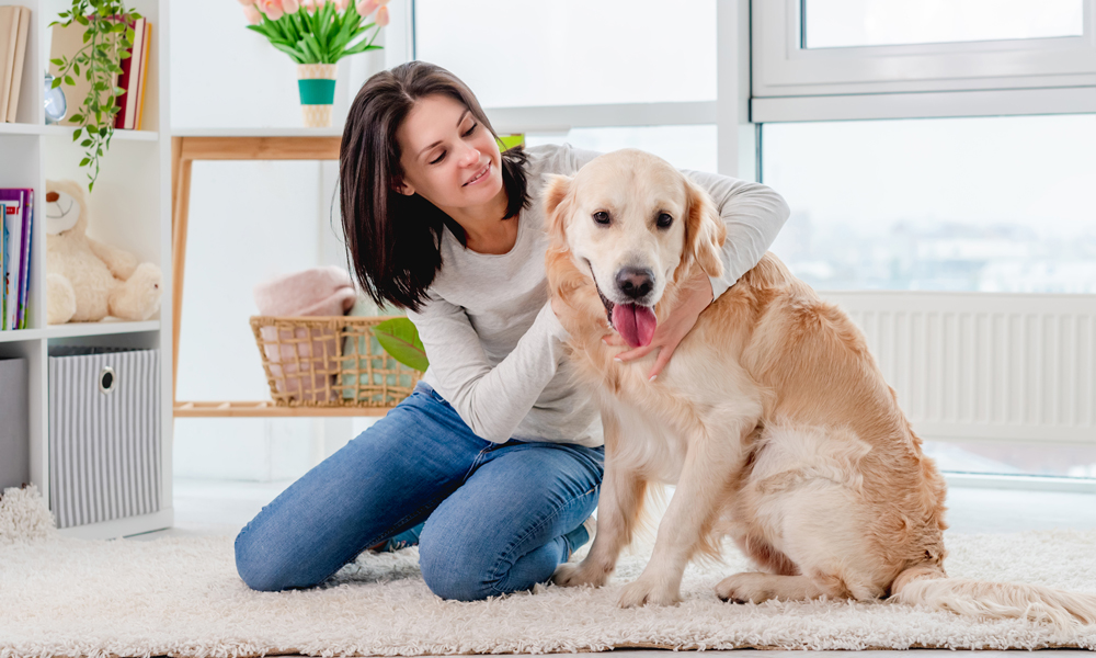 Welcoming your rescue: How to make adult dogs feel at home