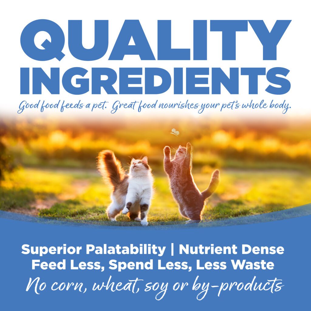 Cat & Kitten Chicken Meal, Salmon & Liver Cat Food NutriSource