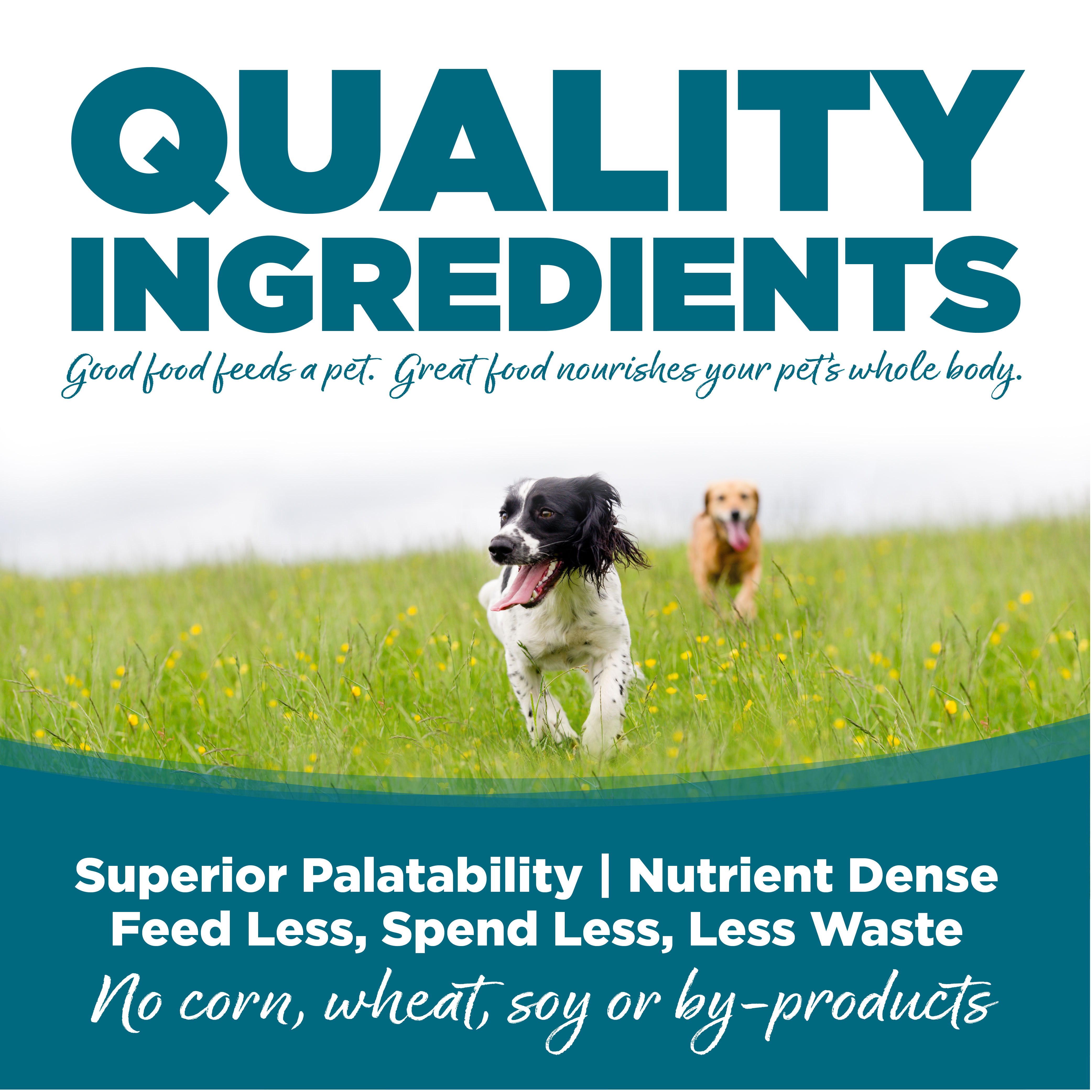Chicken & Rice Recipe Wet Dog Food NutriSource Pet Foods