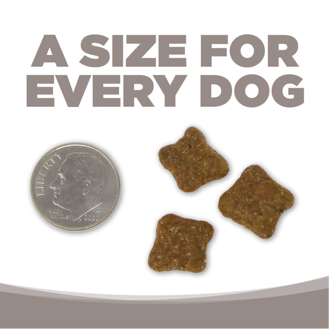 nutrisource grain free senior recipe dry dog food