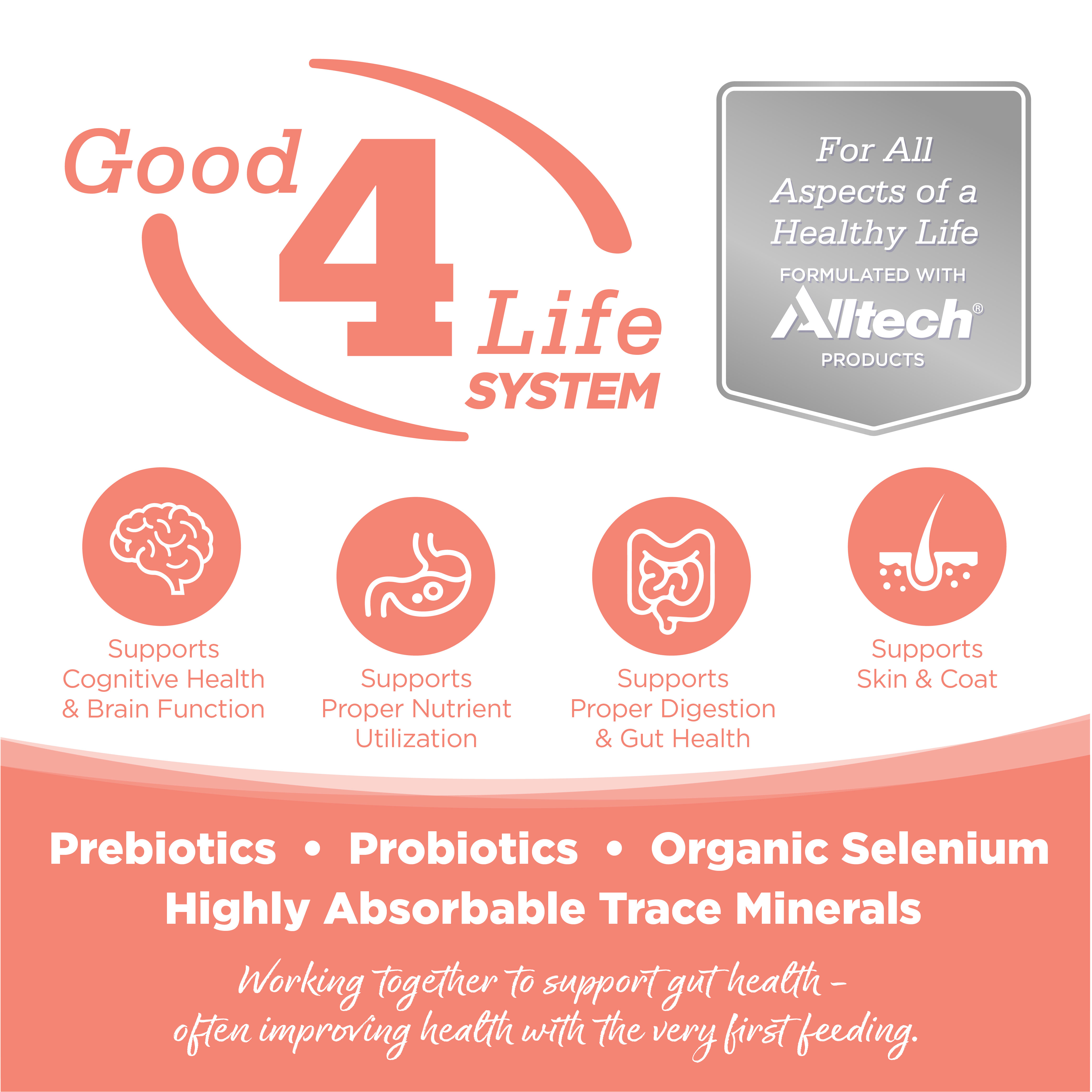 Small Bites Seafood Select Healthy Dog Food NutriSource