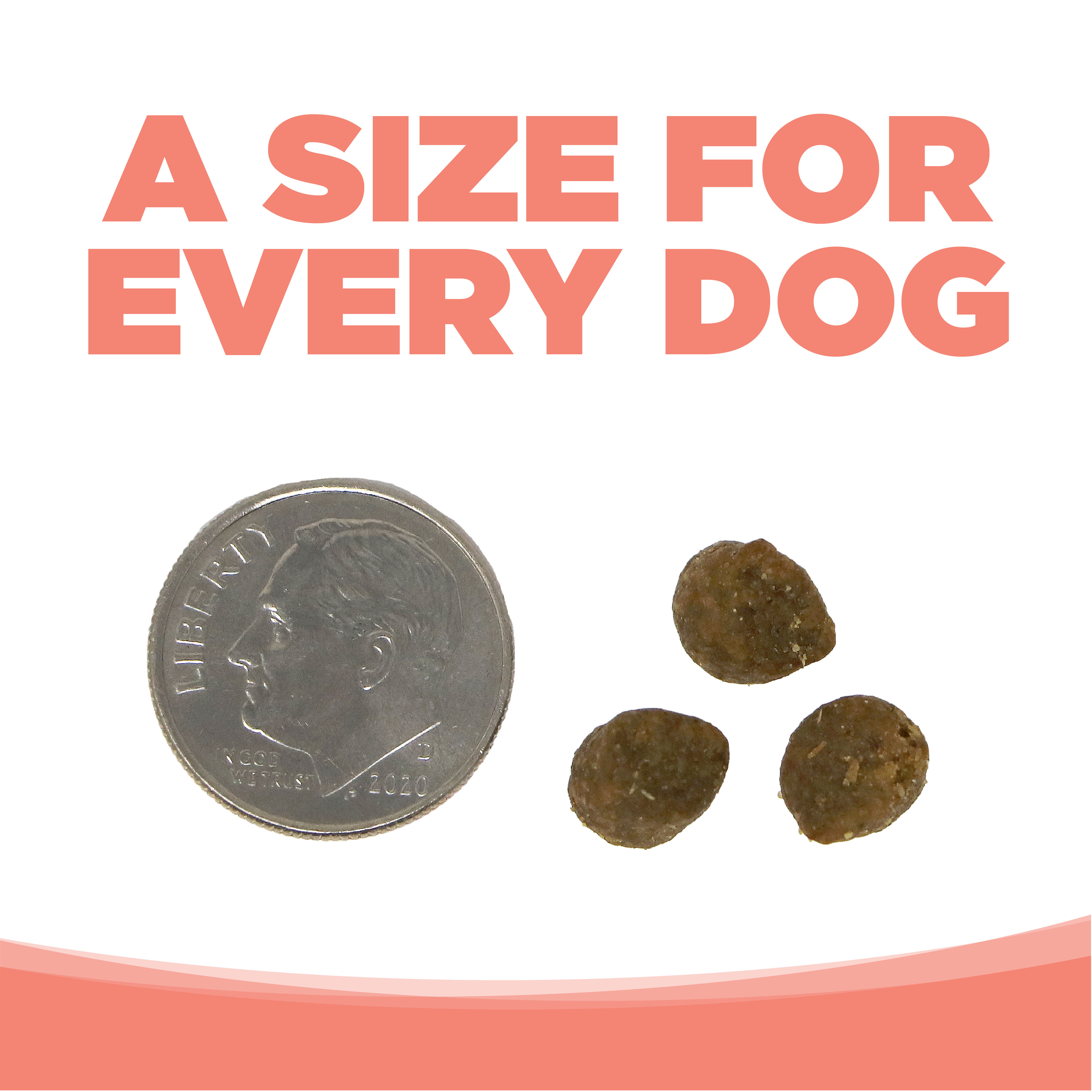 Small Bites Seafood Select Healthy Dog Food NutriSource
