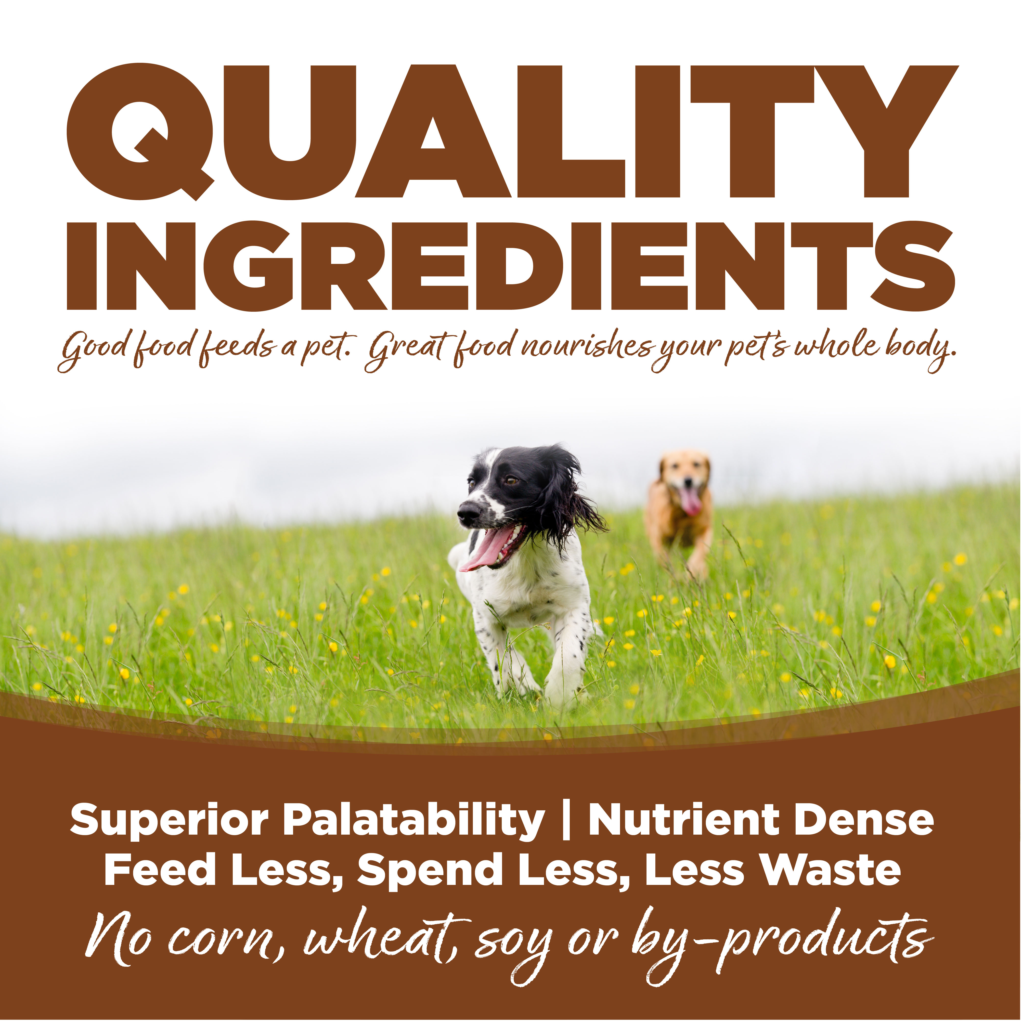 Large Breed Lamb Meal & Rice Dog Food NutriSource Pet Foods