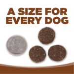 A SIZE FOR EVERY DOG