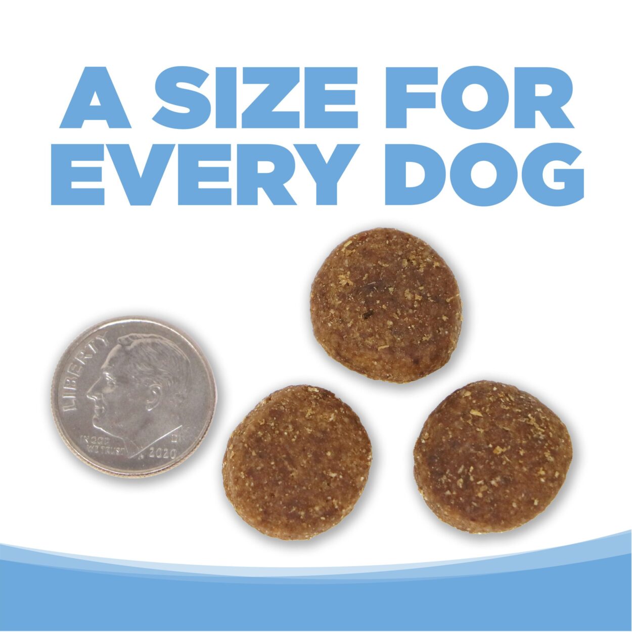 Large Breed Trout & Rice Healthy Dog Food NutriSource Pet Foods