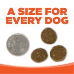 A SIZE FOR EVERY DOG