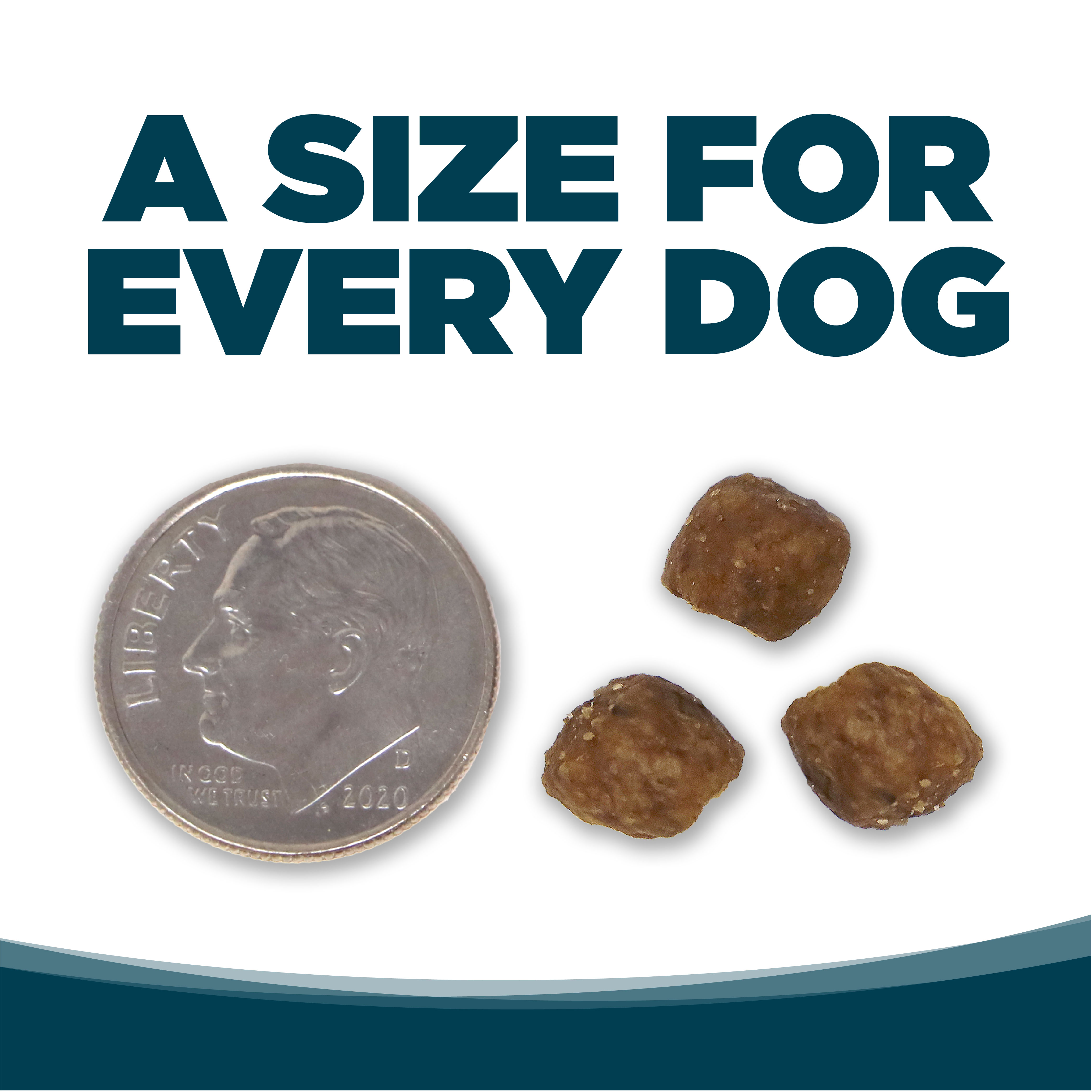 Adult Small Bites Recipe Healthy Dog Food NutriSource