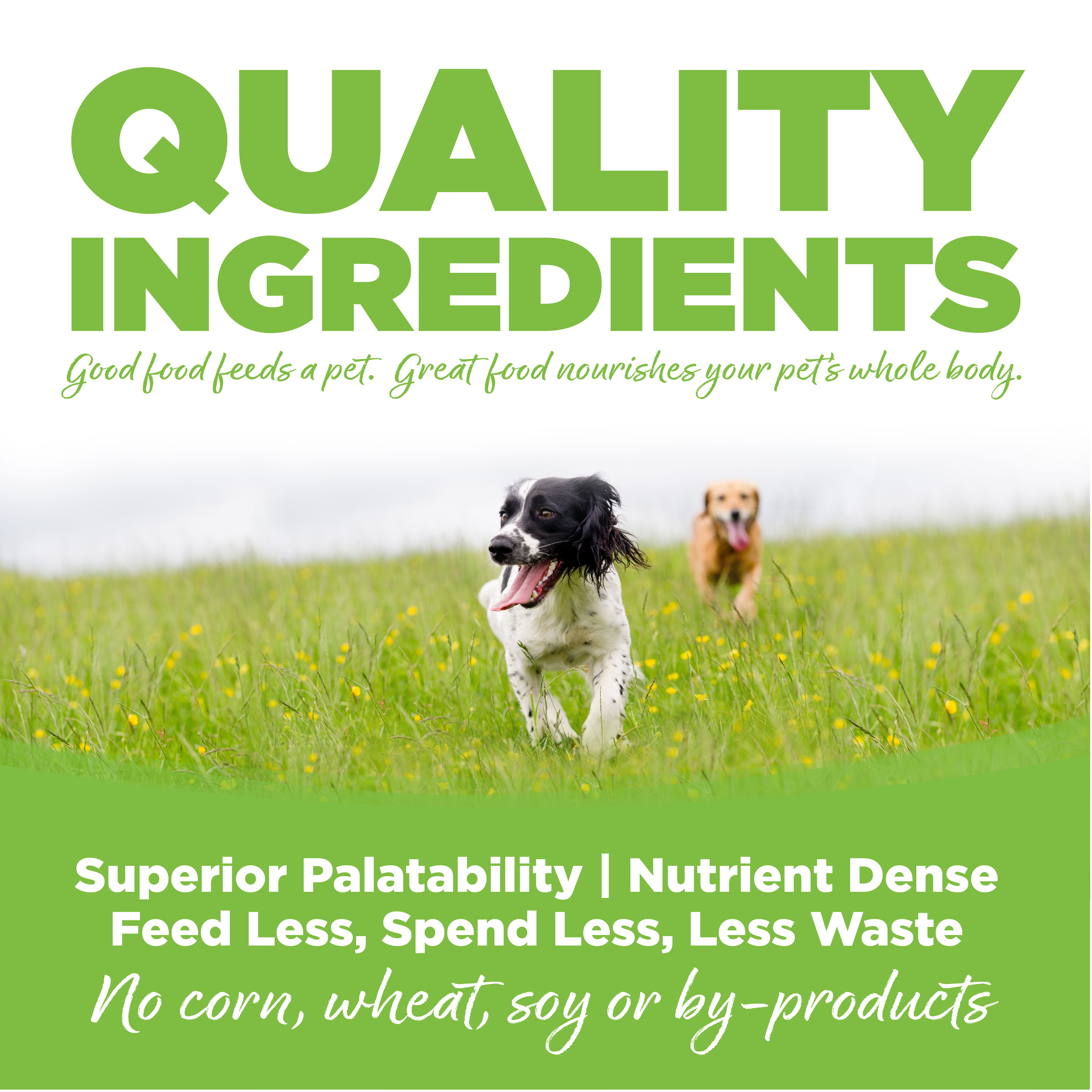 Weight Management Recipe Healthy Dog Food NutriSource Pet Foods