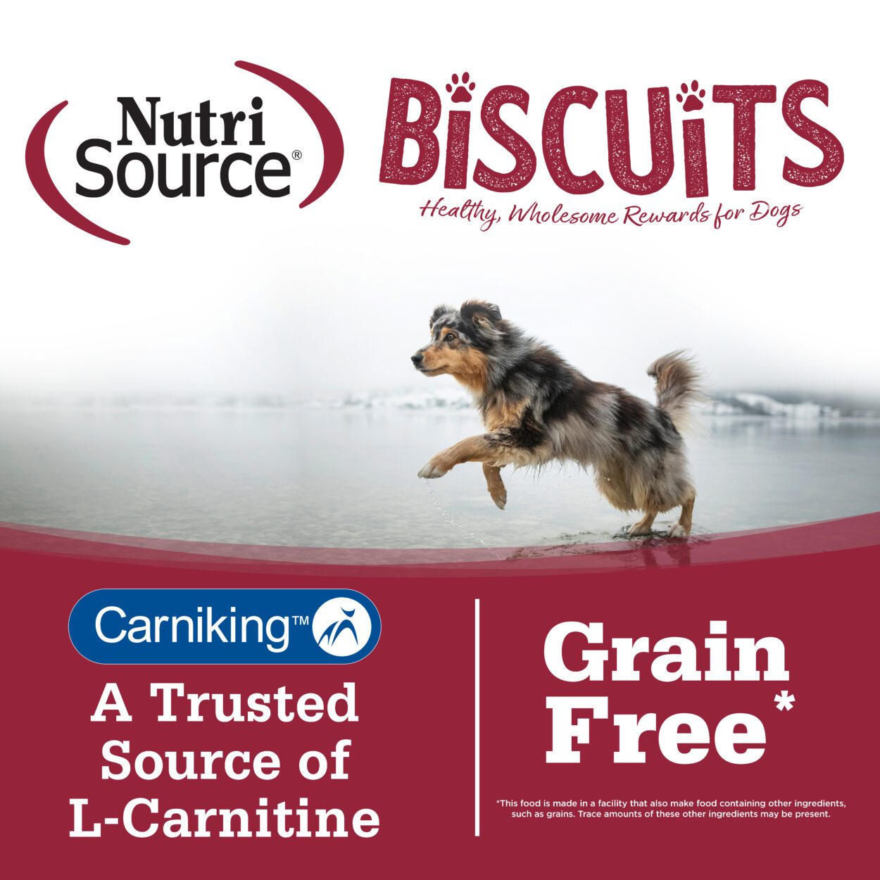 BISCUITS - Grain Free